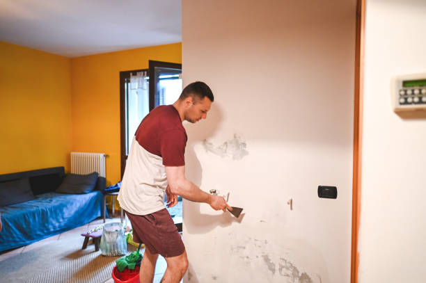 Best Mold Remediation for Specific Building Types in Newark, IL